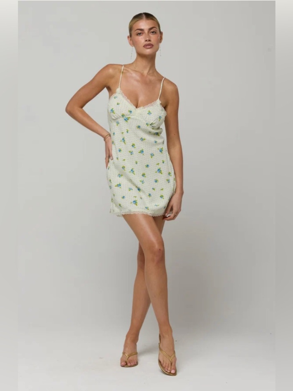 NWT Bianca Mini Dress